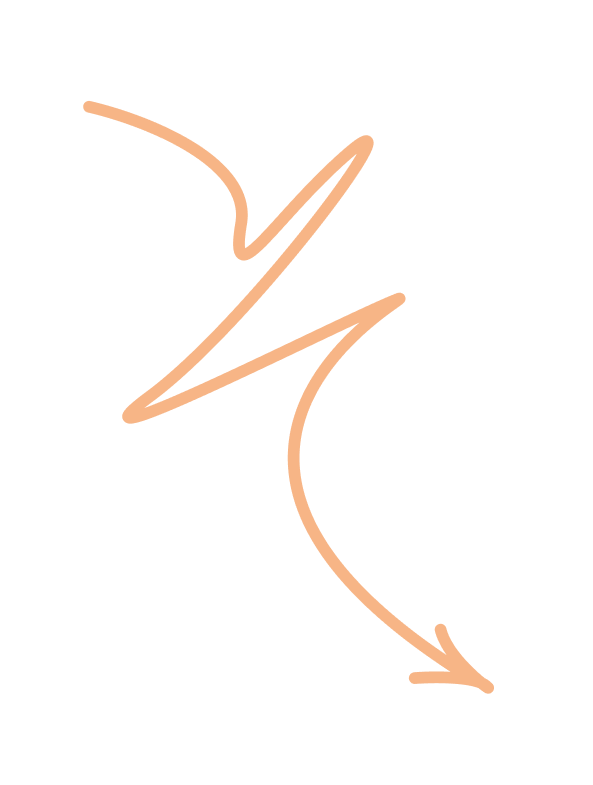 667c6ac7409159bf96fefe8a_Vector2031_svg.png